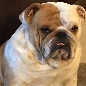 Meet your Posher, Kyla